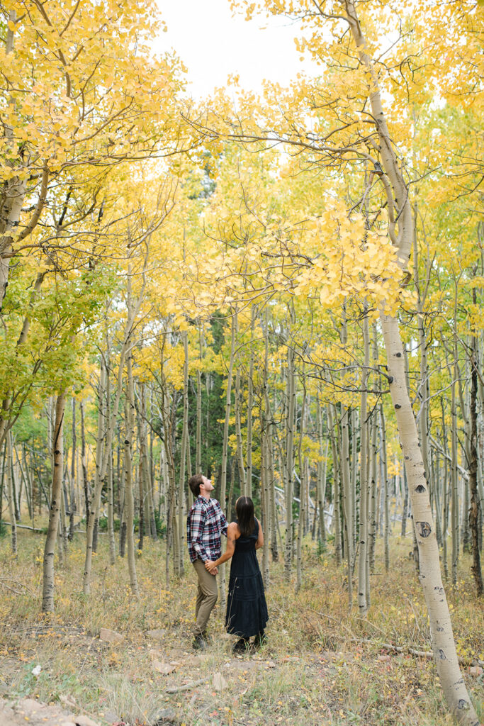 Couple celebrating their surprise engagement at Boreas Pass with  mountain views in Breckenridge, Colorado.