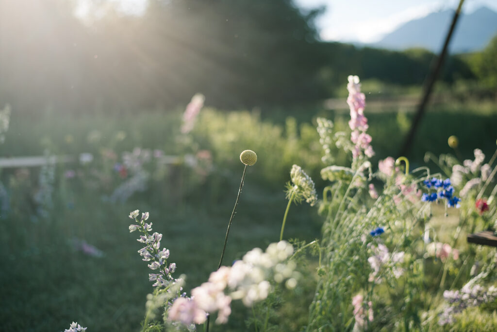 Wedding ceremony with mountain views at Shaw River Ranch wedding venue in Salida, Colorado, 