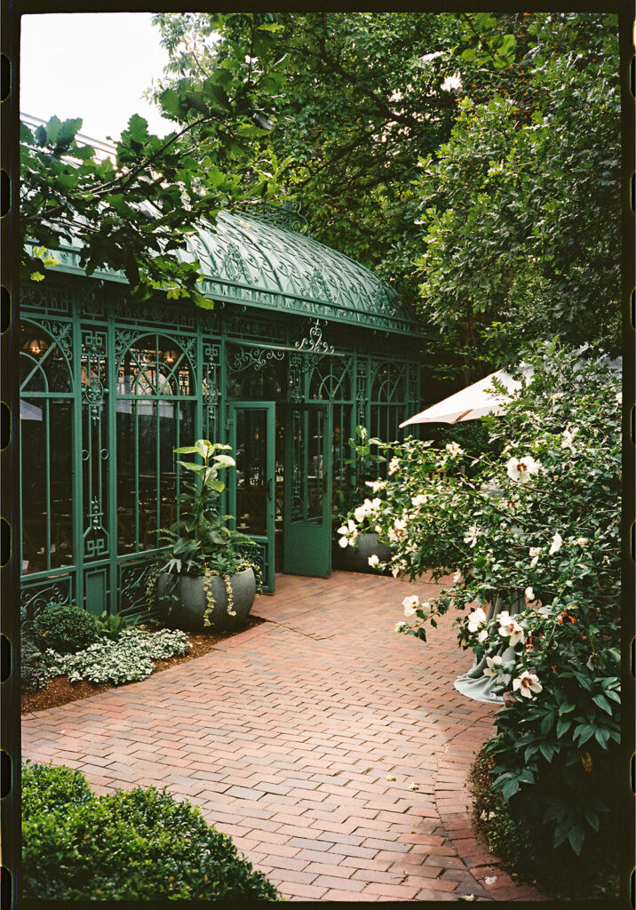 A ceremony taking place at the Mosaic Solarium in the Denver Botanic Gardens