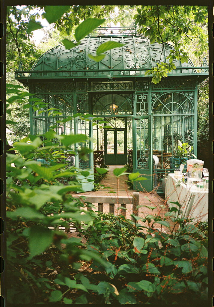 A ceremony taking place at the Mosaic Solarium in the Denver Botanic Gardens